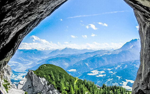 Edelweiss - Photo 18