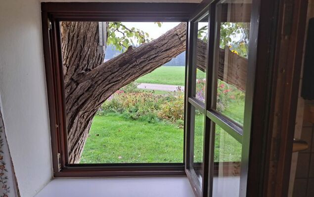 Lindnerhof - Photo 26