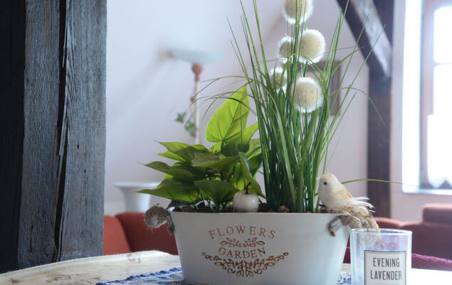 Berghof Hohe ganzes Haus - Photo 29