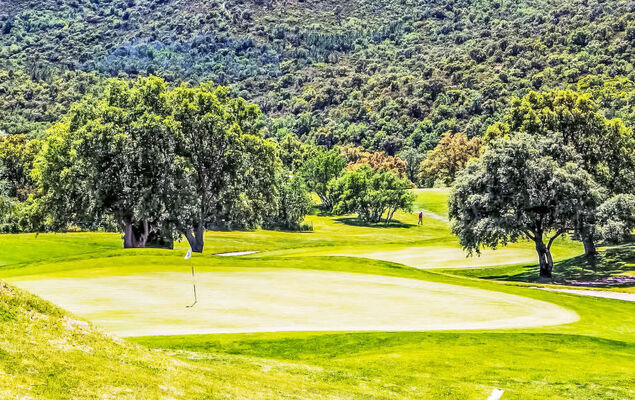 Villa Les Oliviers - Photo 43