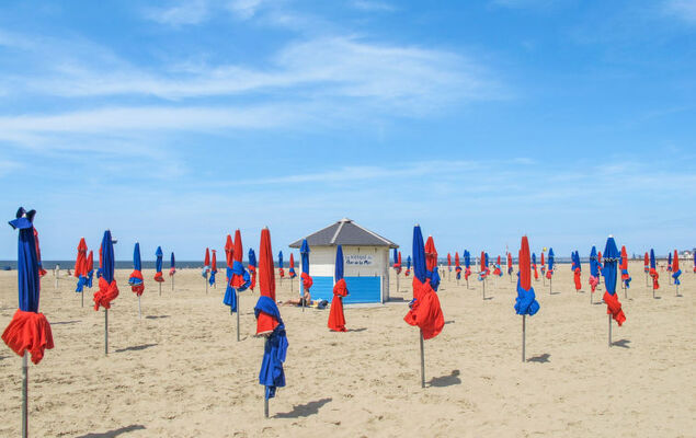 Mignonnette - Photo 21