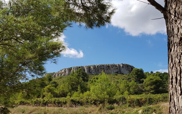 Les Grandes Bleues 2 - Photo 28